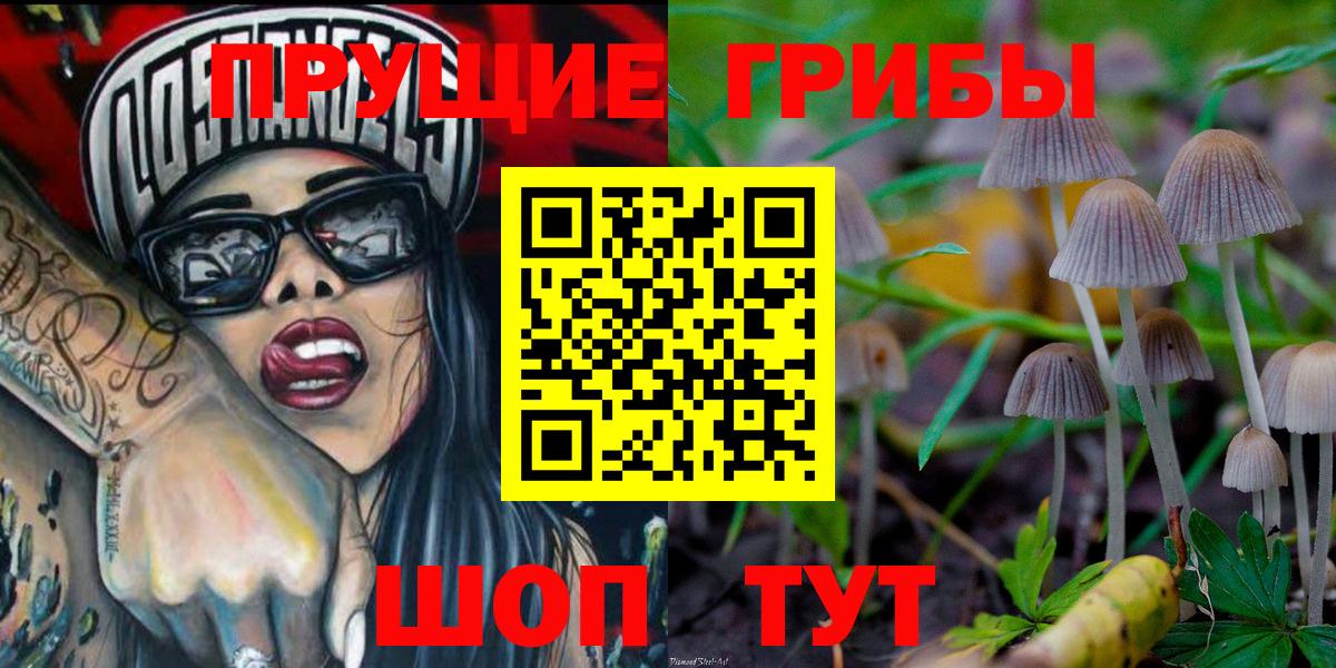 Псилоцибиновые грибы мухоморы Лесосибирск