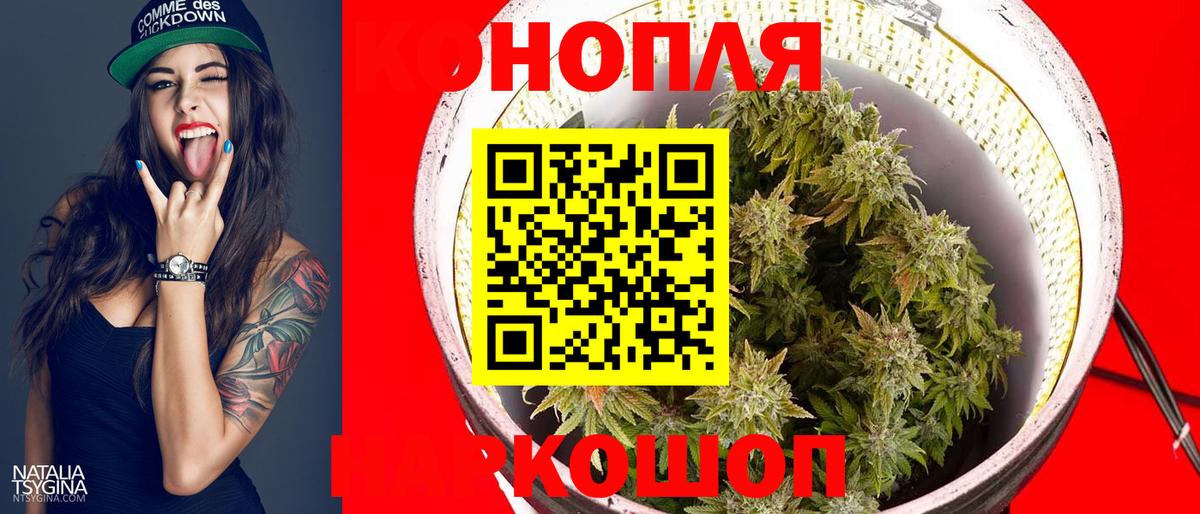  Cocaine Лесосибирск